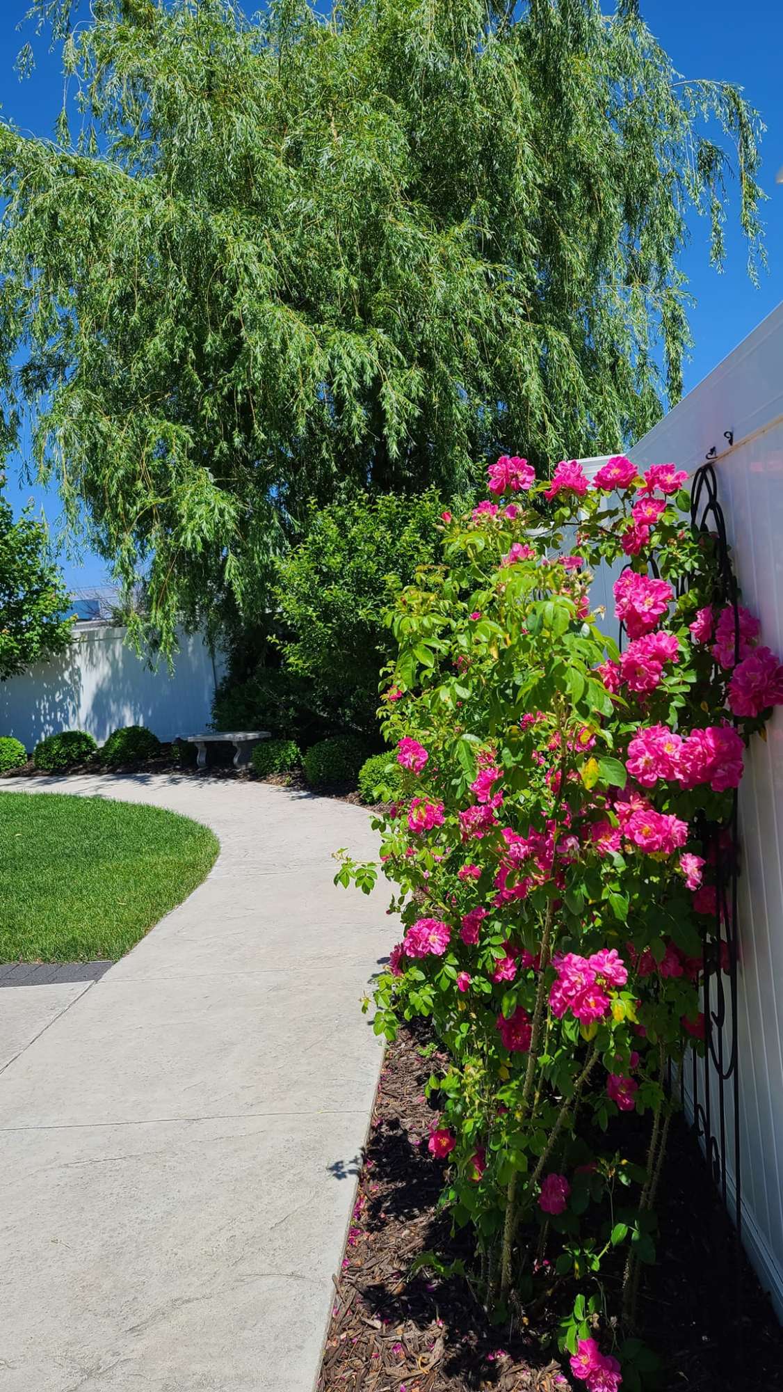 LaSure's Hall & Ceremony Garden in Oshkosh, WI.