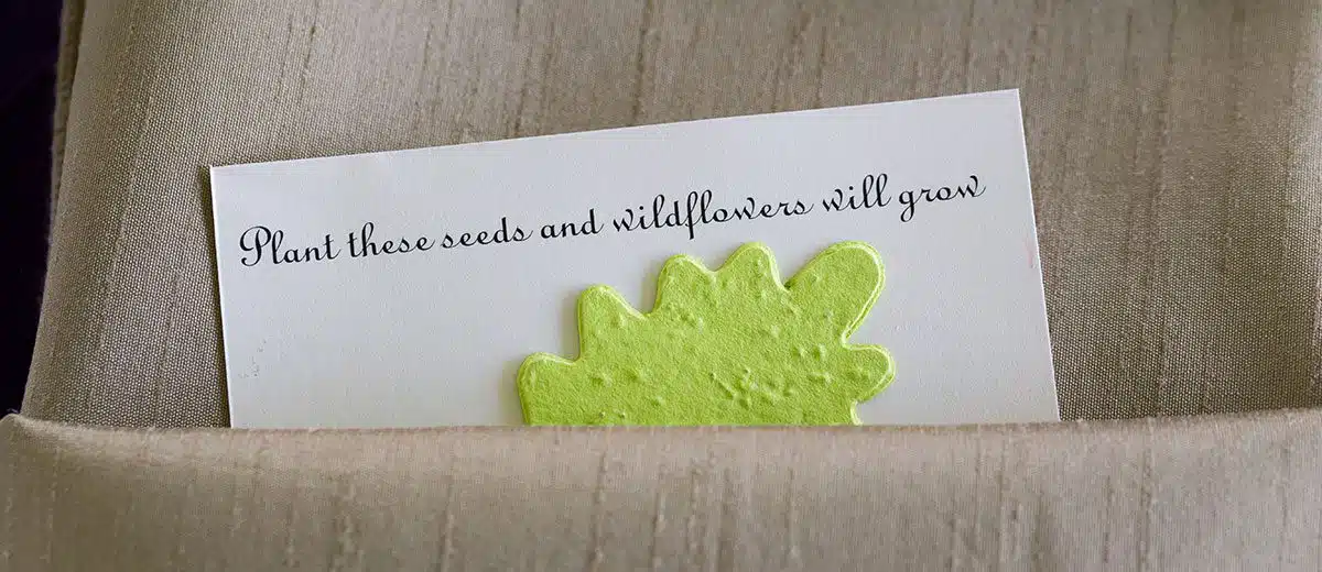 Planning an Eco-Friendly Wedding