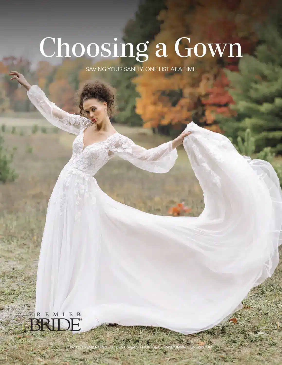 Choosing a Wedding Gown