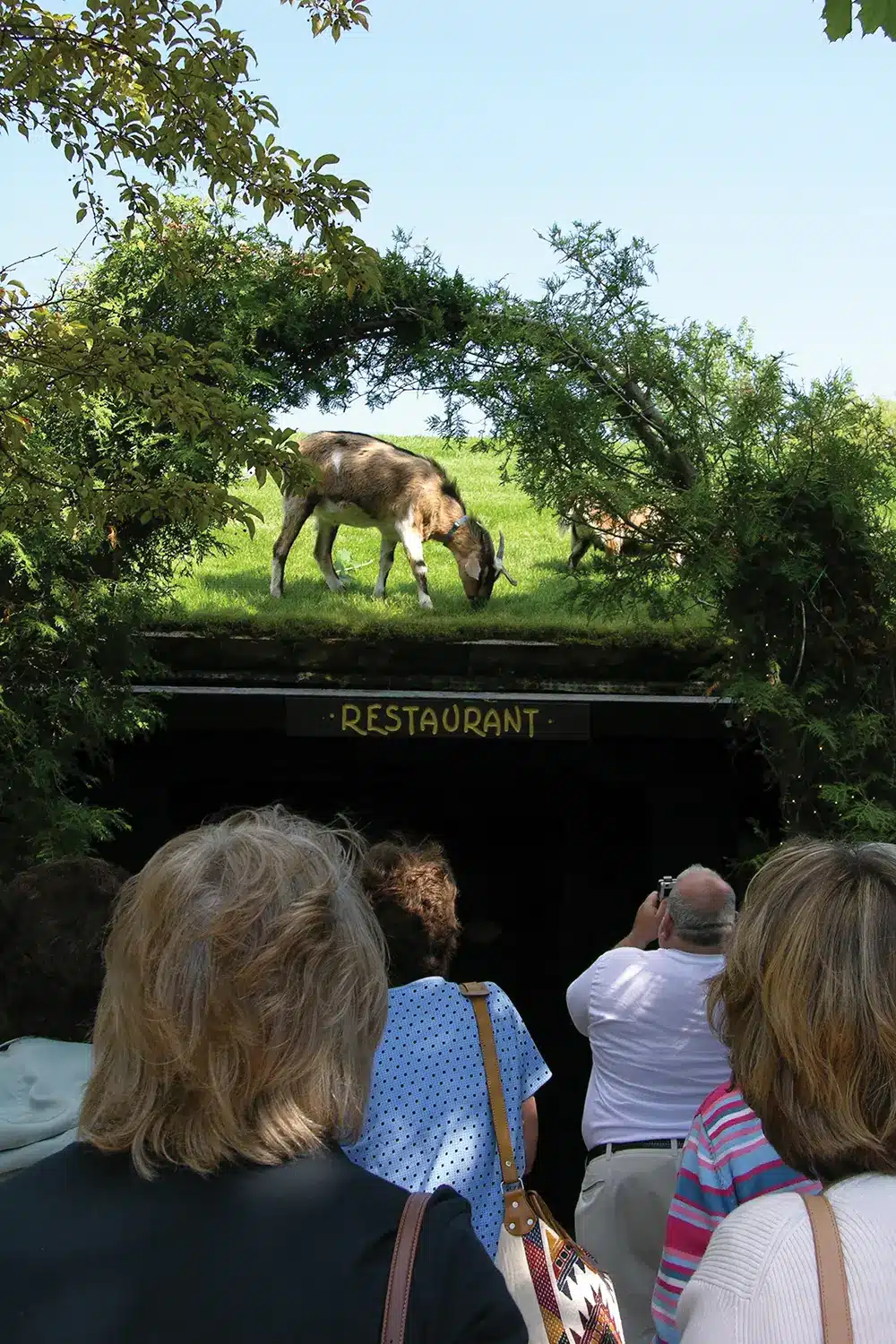 Al Johnsons Swedish Restaurant Al Johnsons Swedish Restaurant