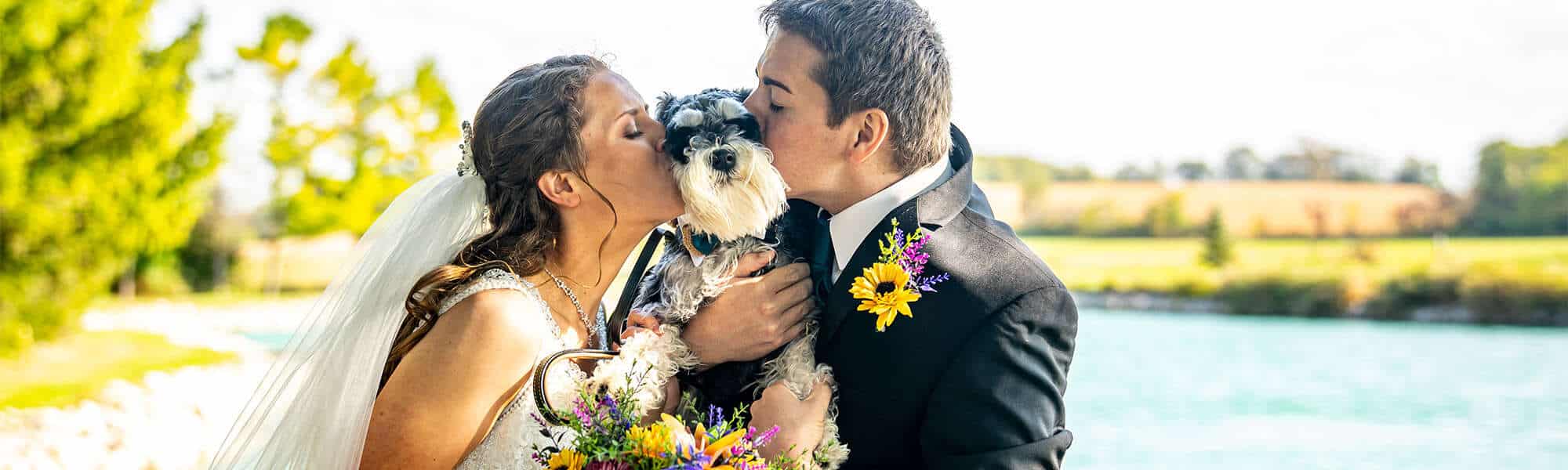 Fur-Ever Love: Include Your Dog on your Wedding Day