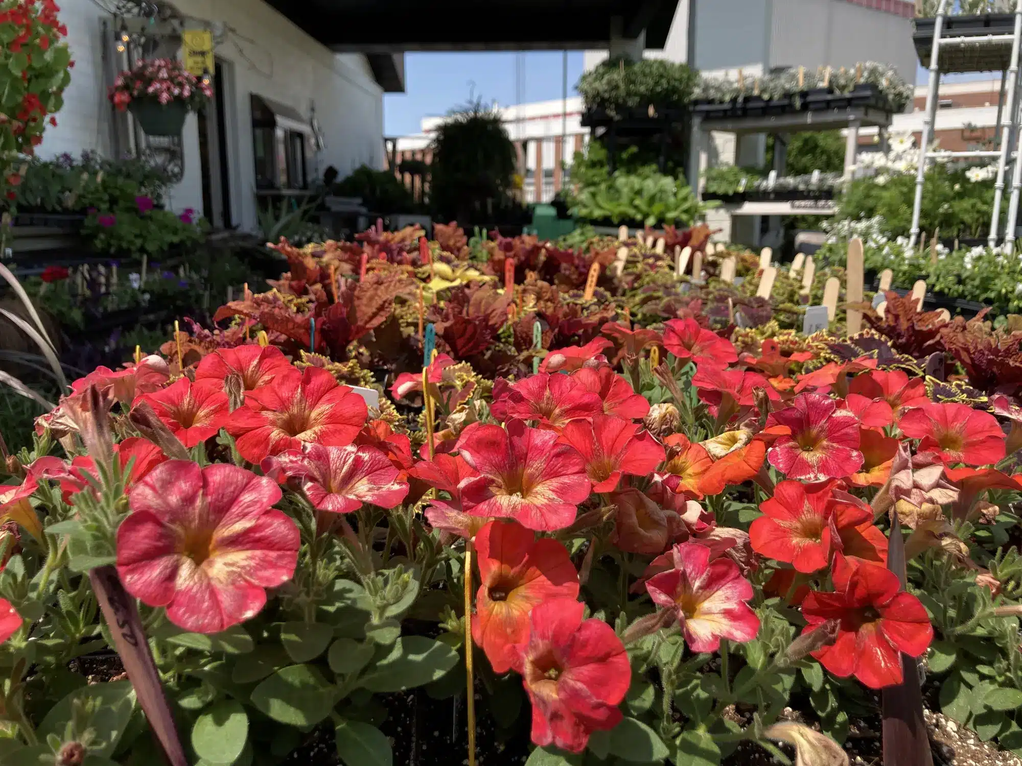 Garden center at uBloom in Oshkosh.
