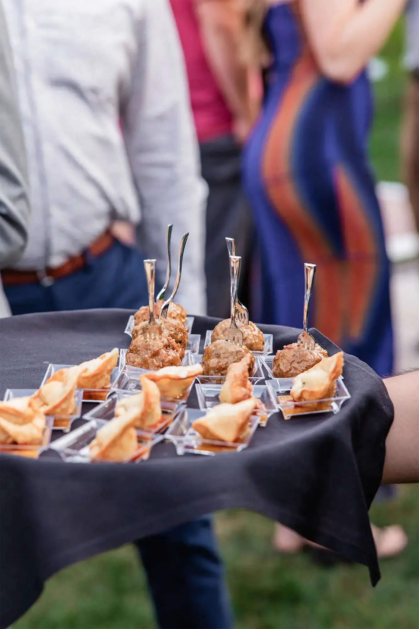 Clintonville-lakeside-wedding-reception-41 Chicken and goat cheese wontons & Asian glazed meatballs offered on platters by Chives