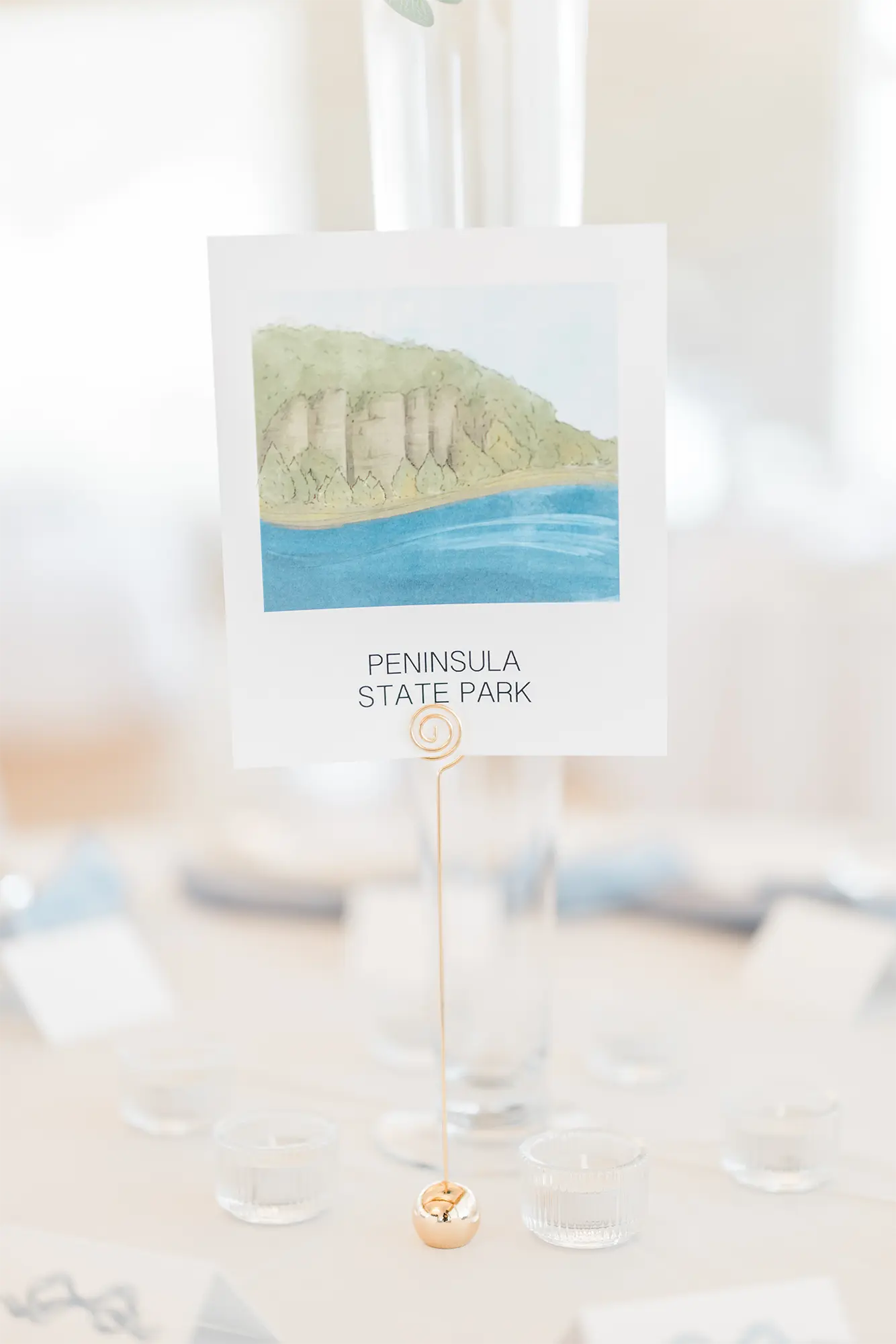 june-door-county-wedding-at-kress-pavilion-11